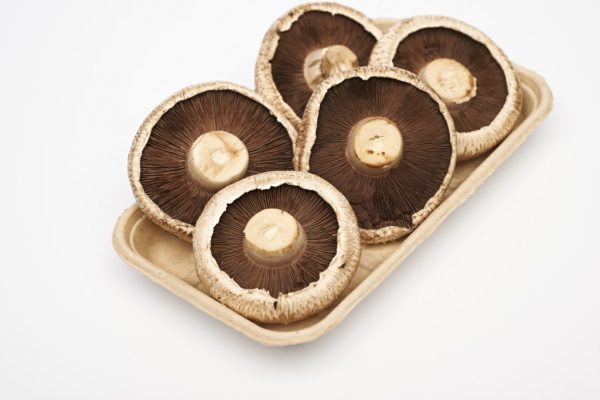 Environmentally Sustainable Packaging