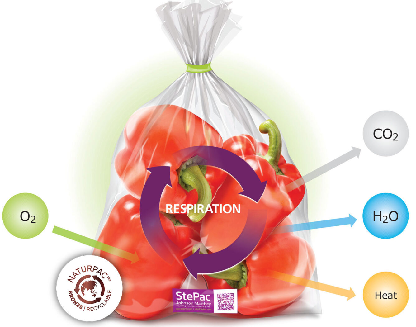 Modified Atmosphere Packaging - J-Tech Systems