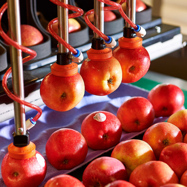 Aporo Robotic Produce Packer